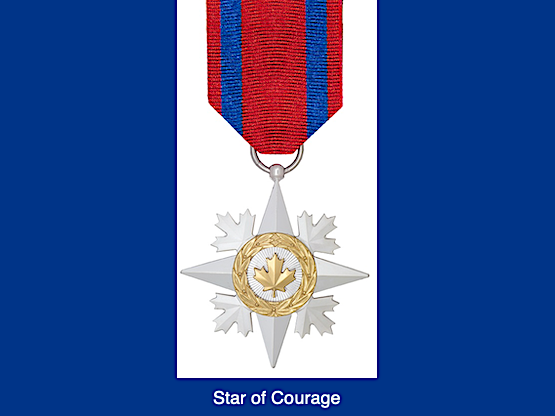 DIckson32504 Star of Courage